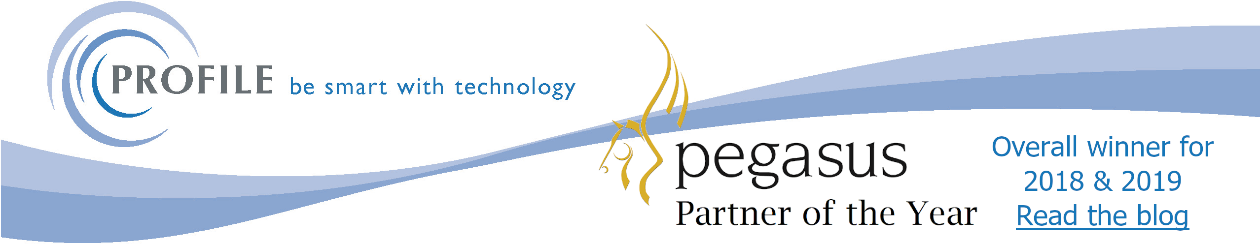 Partner of the Year banner